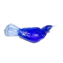 Load image into Gallery viewer, Tūī
