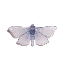 Load image into Gallery viewer, Pūriri Moth
