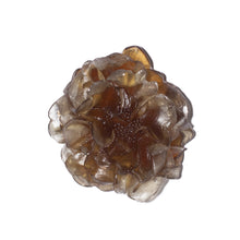 Load image into Gallery viewer, Camellia
