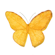 Load image into Gallery viewer, Kinetic Mount Butterfly - Monarch / Kakahu (large)
