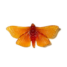 Load image into Gallery viewer, Pūriri Moth
