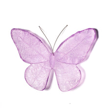 Load image into Gallery viewer, Kinetic Mount Butterfly - Monarch / Kakahu (large)
