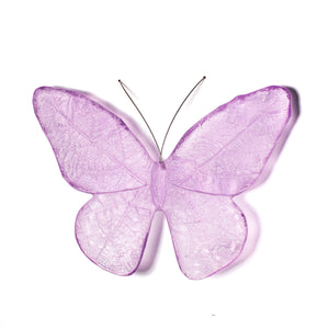Kinetic Mount Butterfly - Monarch / Kakahu (large)