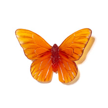 Load image into Gallery viewer, Classic Mount Butterfly - Monarch
