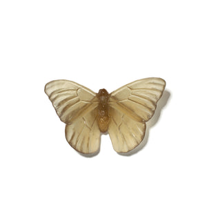 Classic Mount Butterfly - Admiral