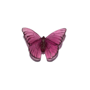 Classic Mount Butterfly - Admiral