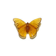 Load image into Gallery viewer, Classic Mount Butterfly - Admiral
