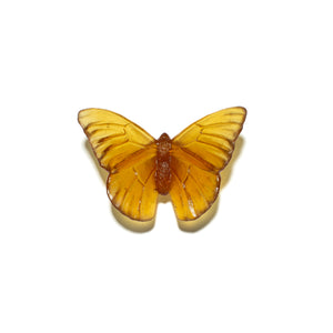 Classic Mount Butterfly - Admiral
