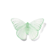 Load image into Gallery viewer, Classic Mount Butterfly - Admiral
