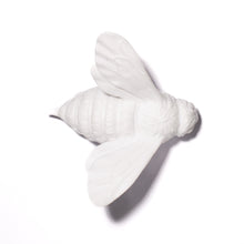 Load image into Gallery viewer, Bee - Wings In

