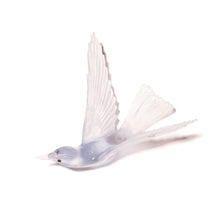 Load image into Gallery viewer, Korimako - wings back / Bellbird
