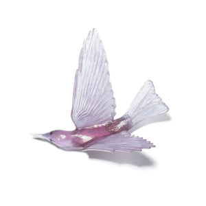Korimako - wings back / Bellbird