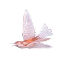 Load image into Gallery viewer, Korimako - wings back / Bellbird
