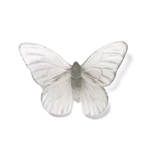 Load image into Gallery viewer, Classic Mount Butterfly - Monarch
