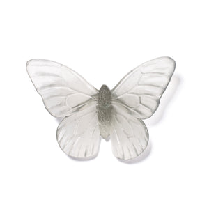 Classic Mount Butterfly - Monarch