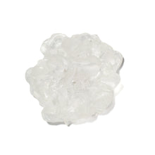 Load image into Gallery viewer, Camellia
