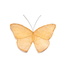 Load image into Gallery viewer, Kinetic Mount Butterfly - Red Admiral / Kahukura (small)
