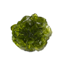 Load image into Gallery viewer, Camellia
