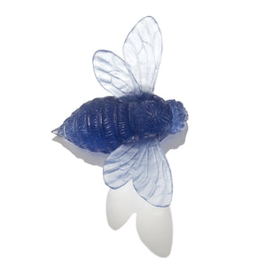 Bee - Wings Out