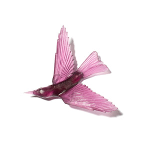 Korimako / Bellbird