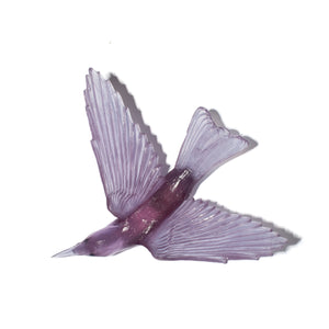 Korimako / Bellbird