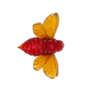 Bee - Wings Out