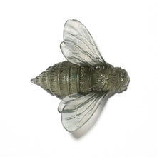 Load image into Gallery viewer, Bee - Wings In
