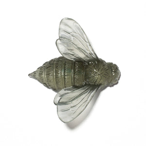 Bee - Wings In