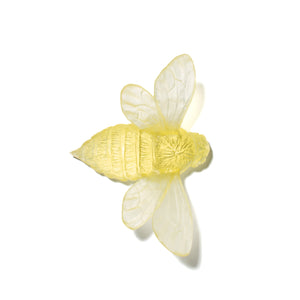 Bee - Wings Out
