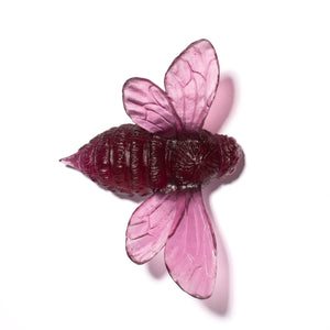 Bee - Wings Out