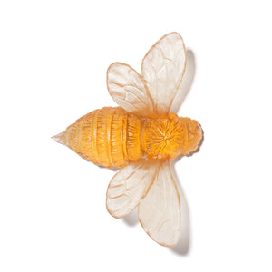 Bee - Wings Out