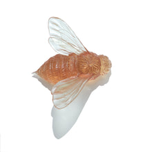 Load image into Gallery viewer, Bee - Wings In
