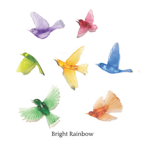 7 Bird Flocks