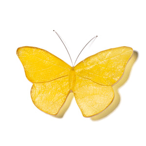 Kinetic Mount Butterfly - Red Admiral / Kahukura (small)