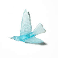 Load image into Gallery viewer, Korimako - wings back / Bellbird
