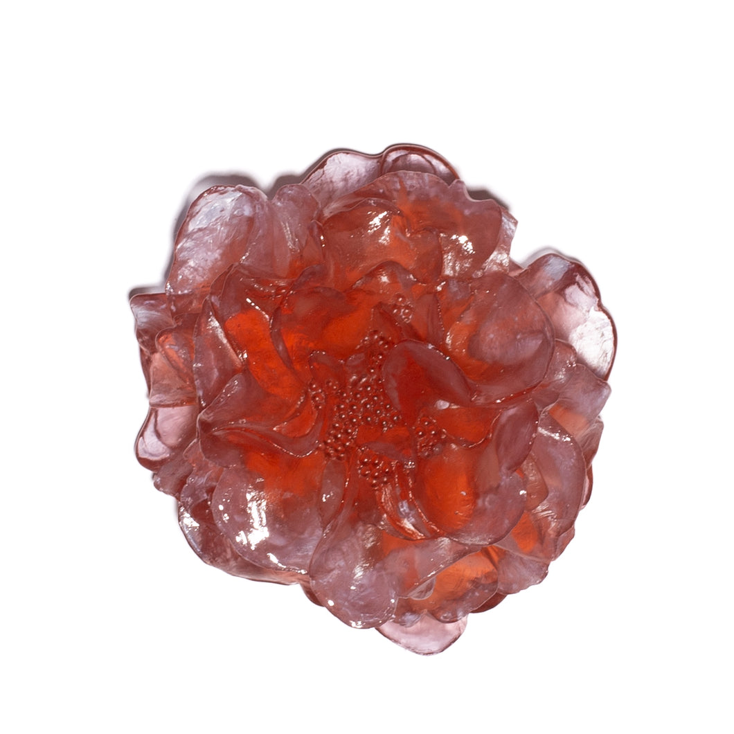 Camellia
