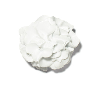 Camellia