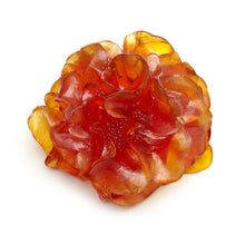 Load image into Gallery viewer, Camelia
