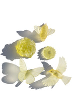 Load image into Gallery viewer, November - Citrine

