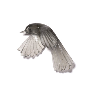 Pīwakawaka / Fantail - wings down