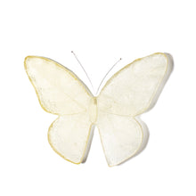 Load image into Gallery viewer, Kinetic Mount Butterfly - Monarch / Kakahu (large)
