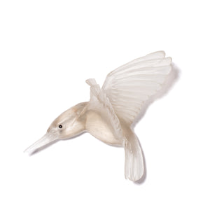 Kōtare / Kingfisher