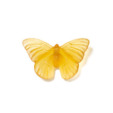 Load image into Gallery viewer, Classic Mount Butterfly - Admiral
