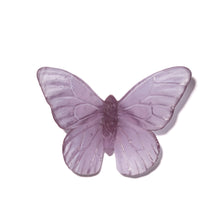 Load image into Gallery viewer, Classic Mount Butterfly - Monarch
