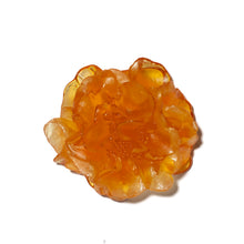 Load image into Gallery viewer, Camellia
