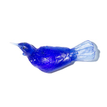 Load image into Gallery viewer, Tuī - Left Facing
