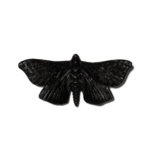 Pūriri Moth