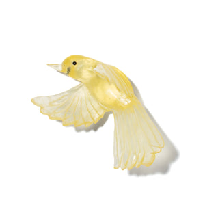 Pīwakawaka / Fantail - wings down