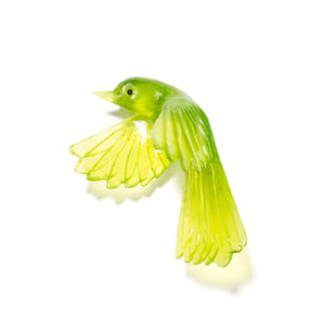 Pīwakawaka / Fantail - wings down