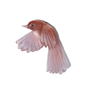 Pīwakawaka / Fantail - wings down